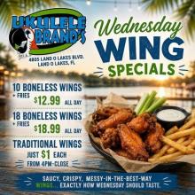 Wing Wednesday